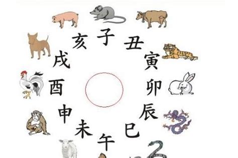 動物 五行|如何区分动物的五行属性？